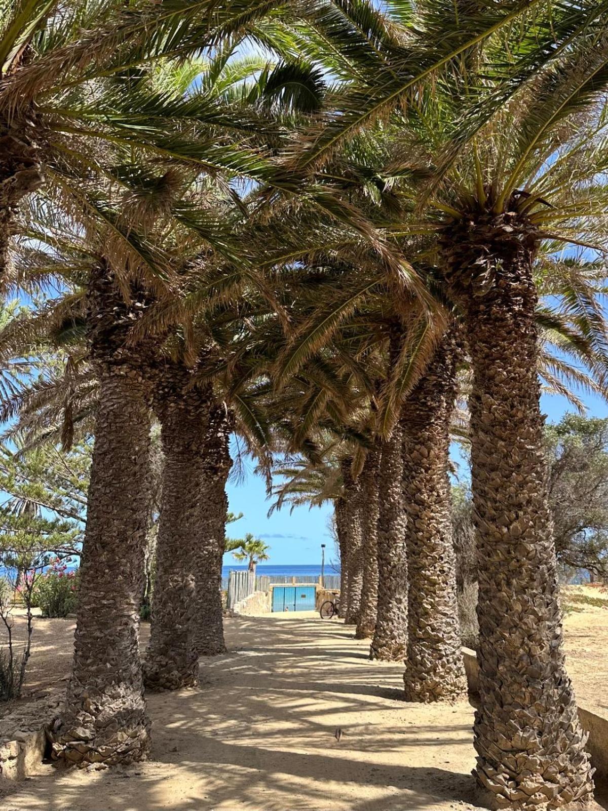 Quinta Do Ribeiro Salgado'S Beach House ポルト・サント エクステリア 写真